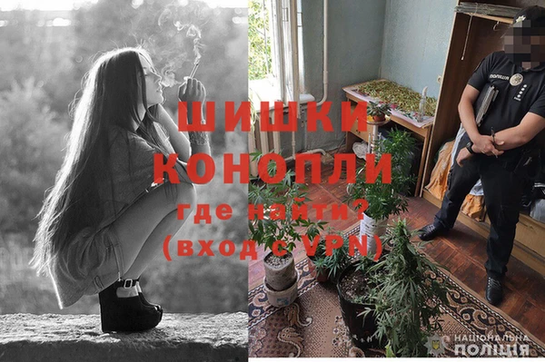 гидра Сатка