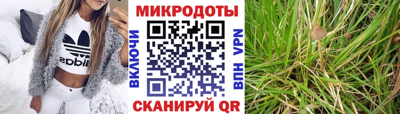 Псилоцибиновые грибы мухоморы  Купить  Фрязино 