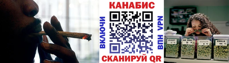 Бошки Шишки семена  Купить закладки  Фрязино 